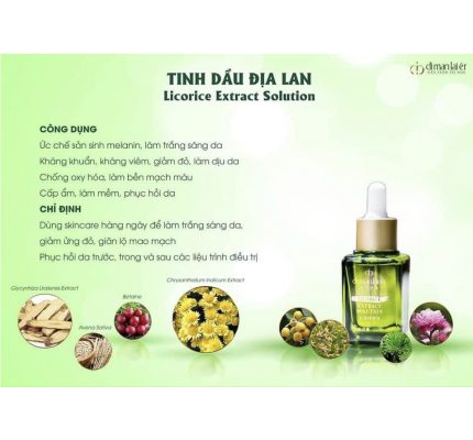 tinh đầu địa lan dimanlaier